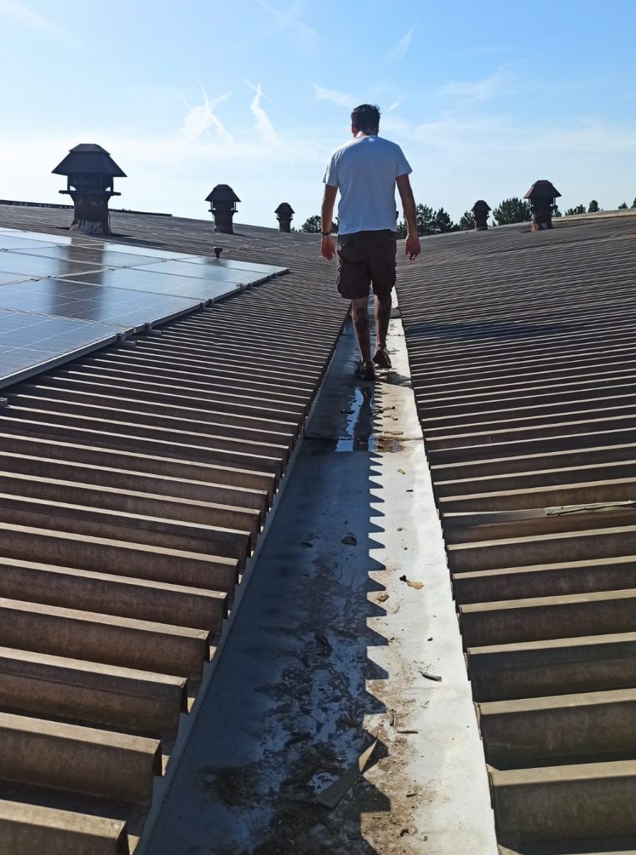 Read more about the article Solarna elektrana Feromont Pančevo